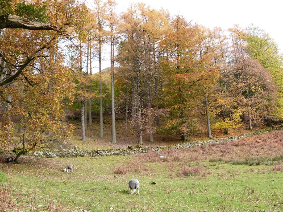 Cherry - Woodland Cottages Bowness-on-Windermere Eksteriør billede