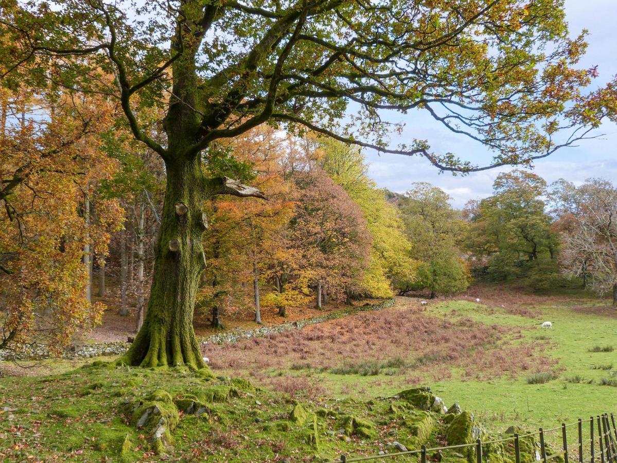 Cherry - Woodland Cottages Bowness-on-Windermere Eksteriør billede